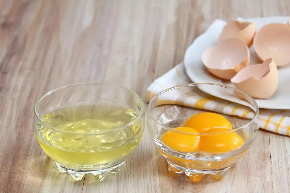 Blanc d'œuf liquide — illustration de l'article sur ses utilisations en cuisine