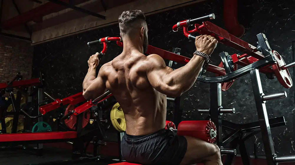 Nutrition-et-Entraînement-en-Force-Optimiser-la-Prise-de-Muscle KISS NUTRITION