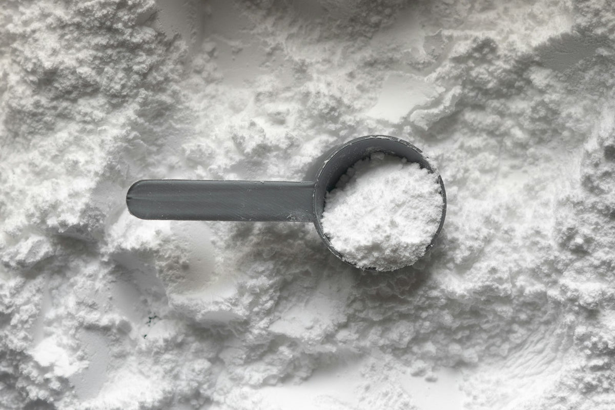 Dosette de créatine monohydrate en poudre blanche