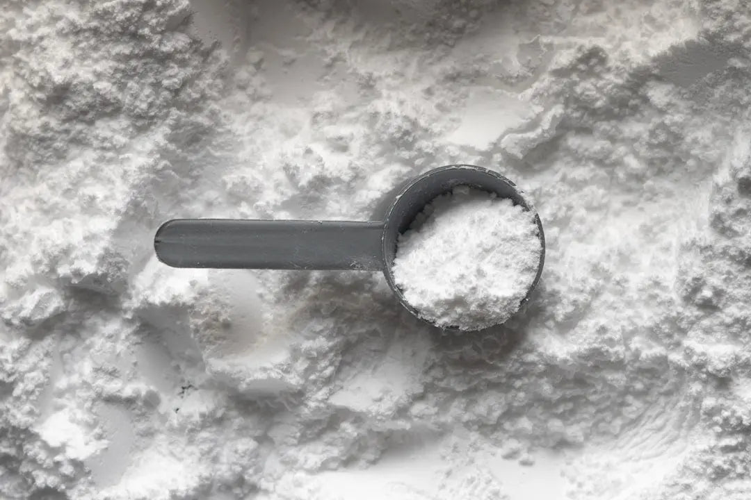 Dosette de poudre blanche de glutamine