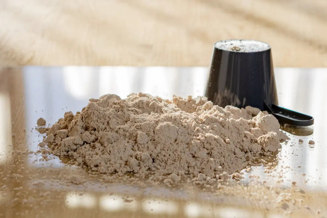 Poudre de protéine et dosette, compléments alimentaires pour la musculation
