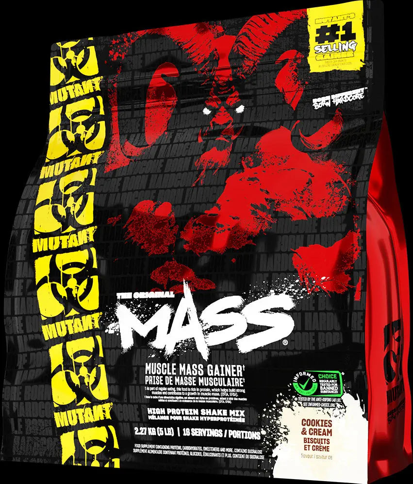 Prise-de-masse KISS NUTRITION