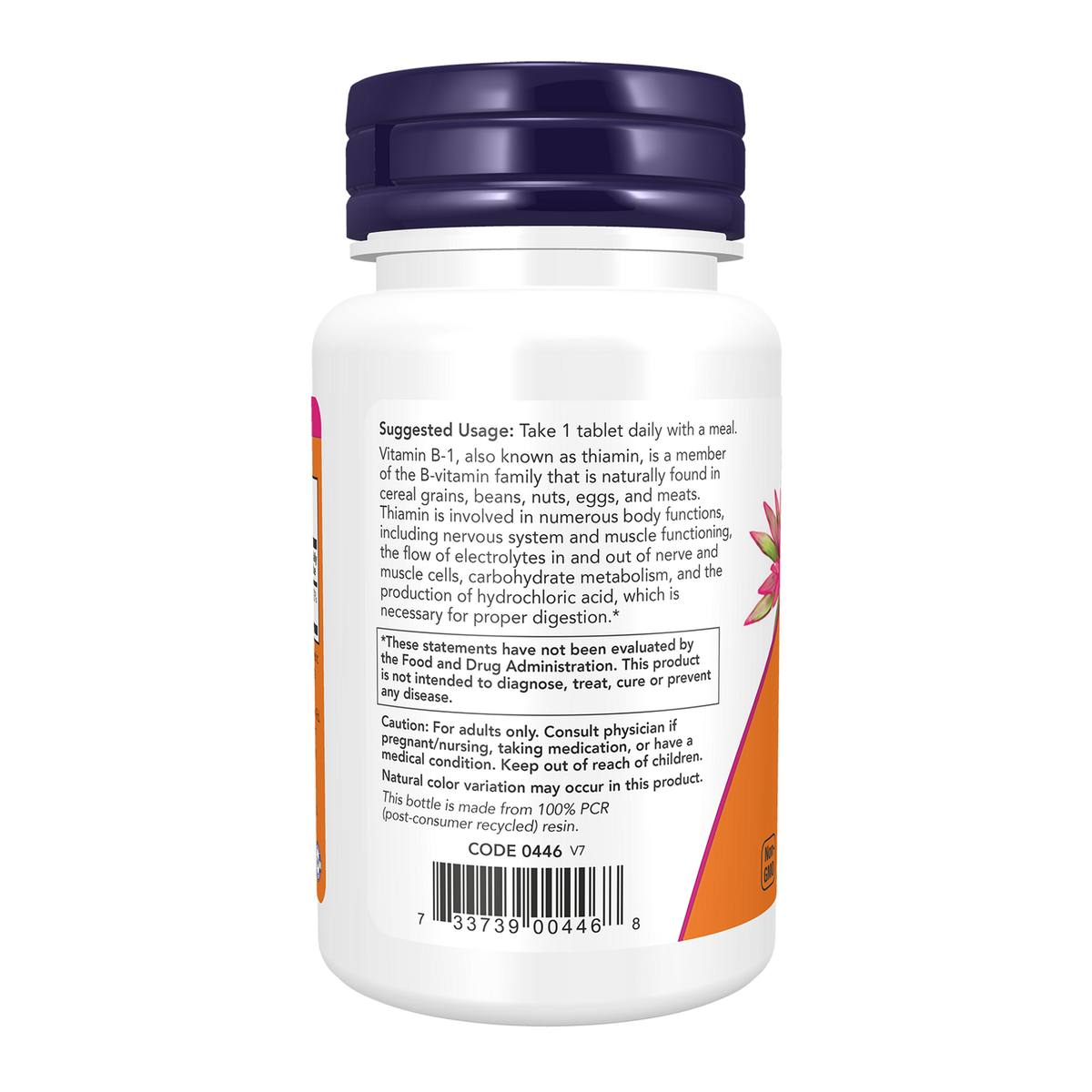 Now Foods Vitamine B1 Thiamine 100 mg - vue de gauche