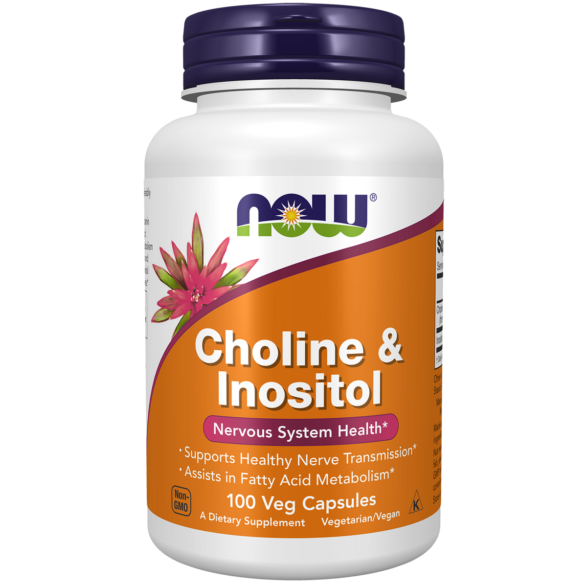 NOW Foods Choline and Inositol