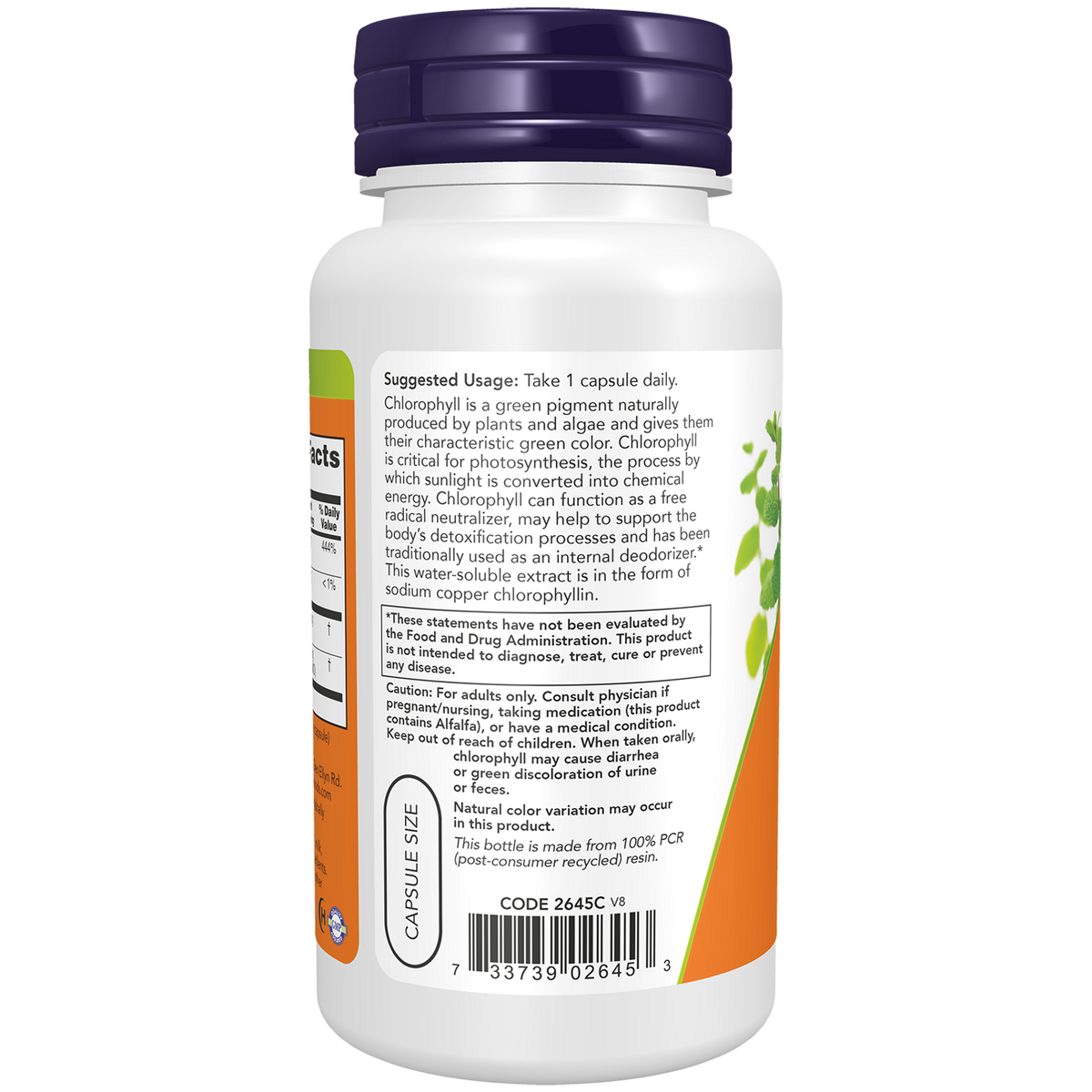 Now Foods Chlorophylle 100 mg - vue de gauche