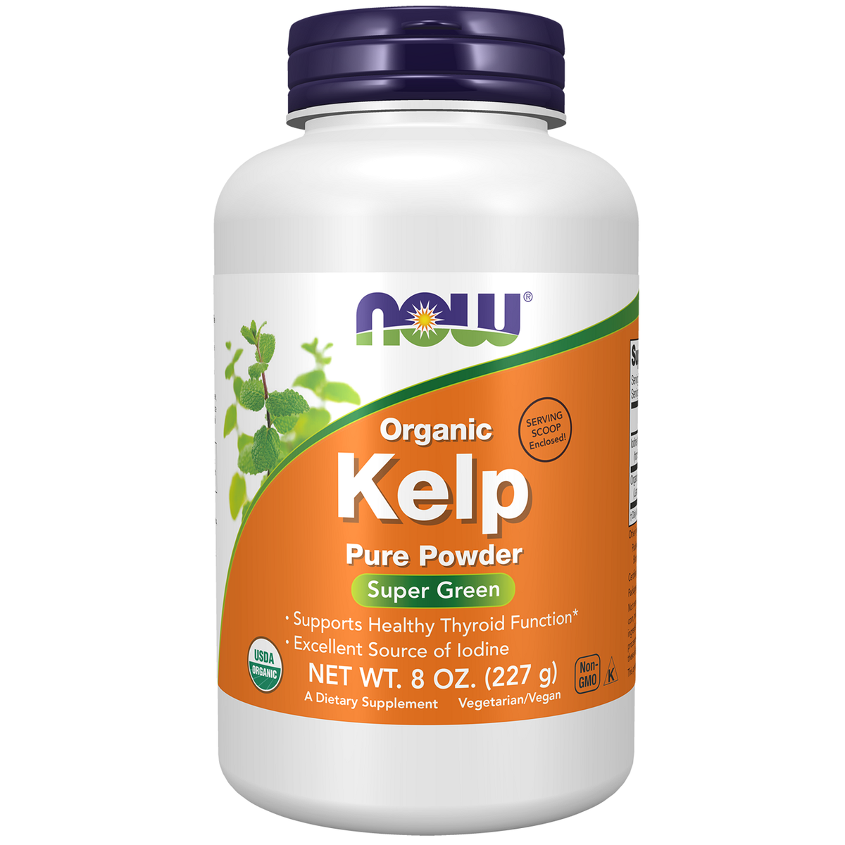 Now Foods Kelp en poudre pure, pot de 227 g d'algue biologique