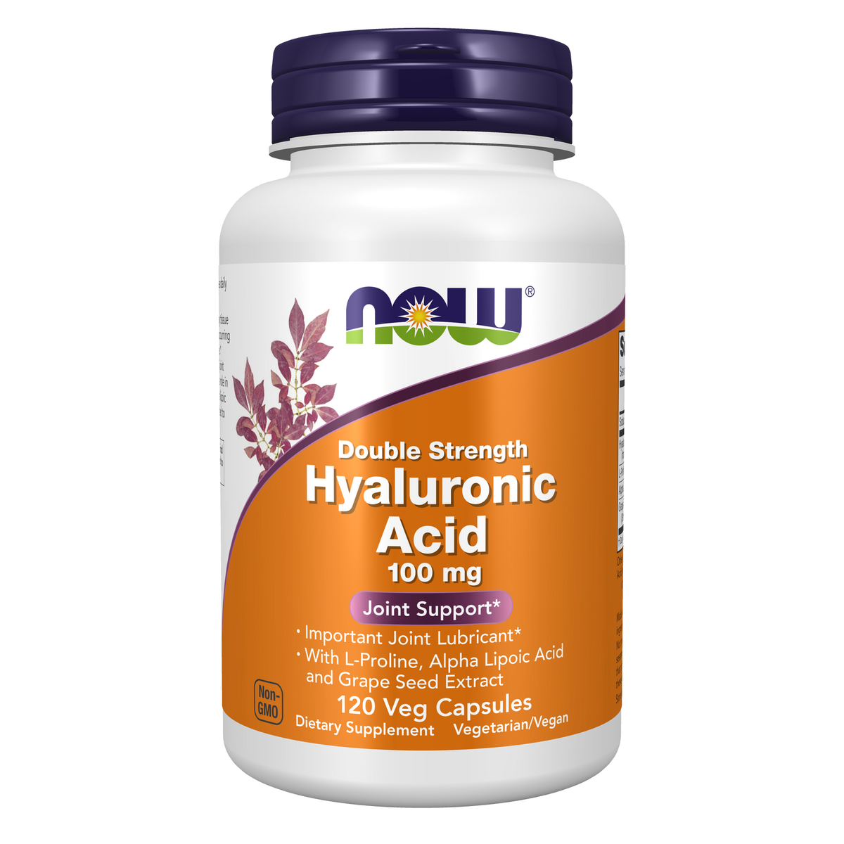 NOW Foods Acide Hyaluronique 100 mg Double Strength — L-Proline, Acide Alpha-Lipoïque — 120 gélules