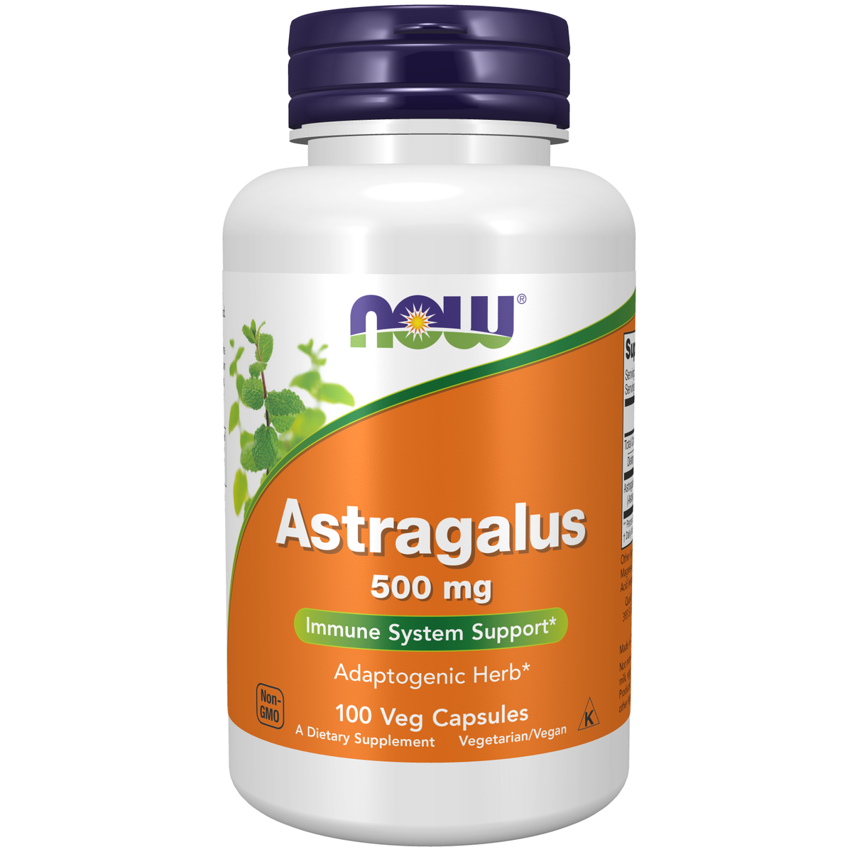 Now Foods Astragale 500 mg