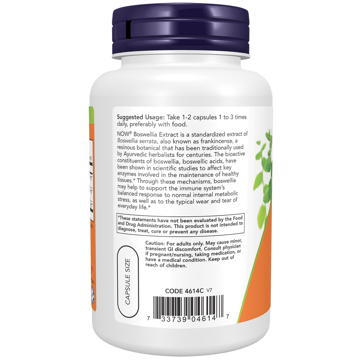 Now Foods Boswellia Curcuma 250 mg - vue de gauche