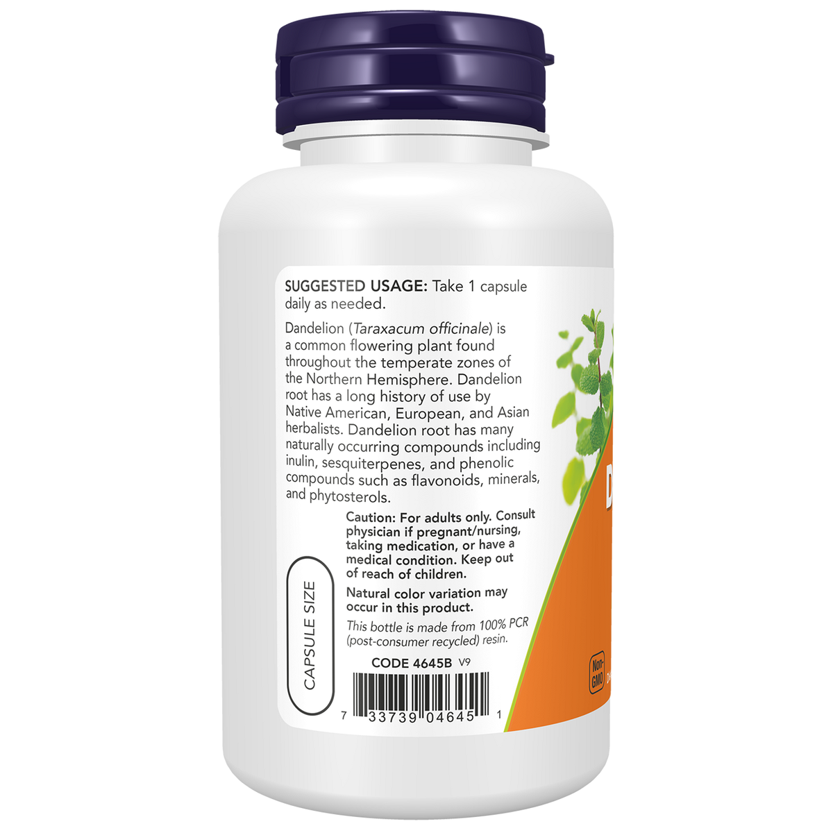 Now Foods Racine de pissenlit bio 500 mg - vue de gauche