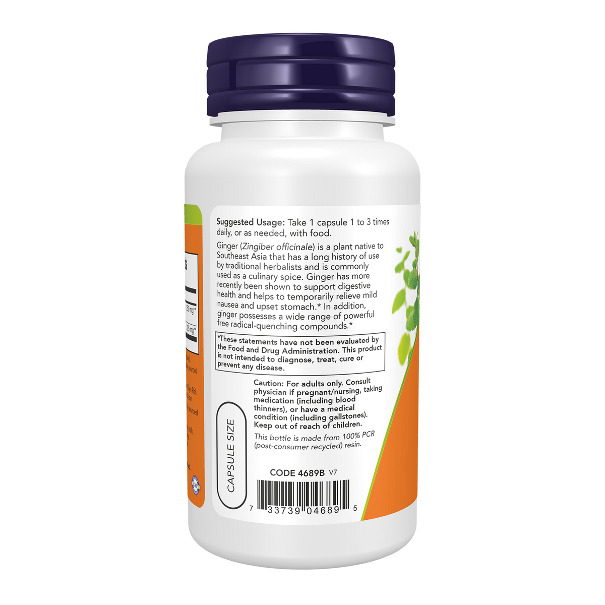 Now Foods Gingembre 250 mg - vue de gauche