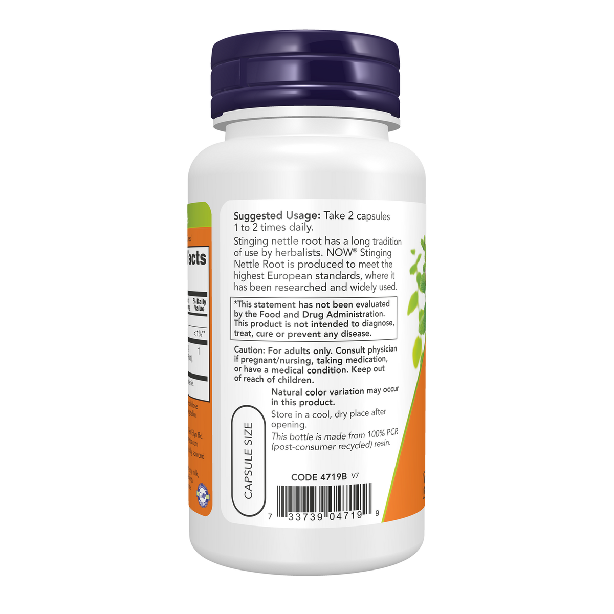 Now Foods Extrait de racine d'ortie 250 mg - vue de gauche