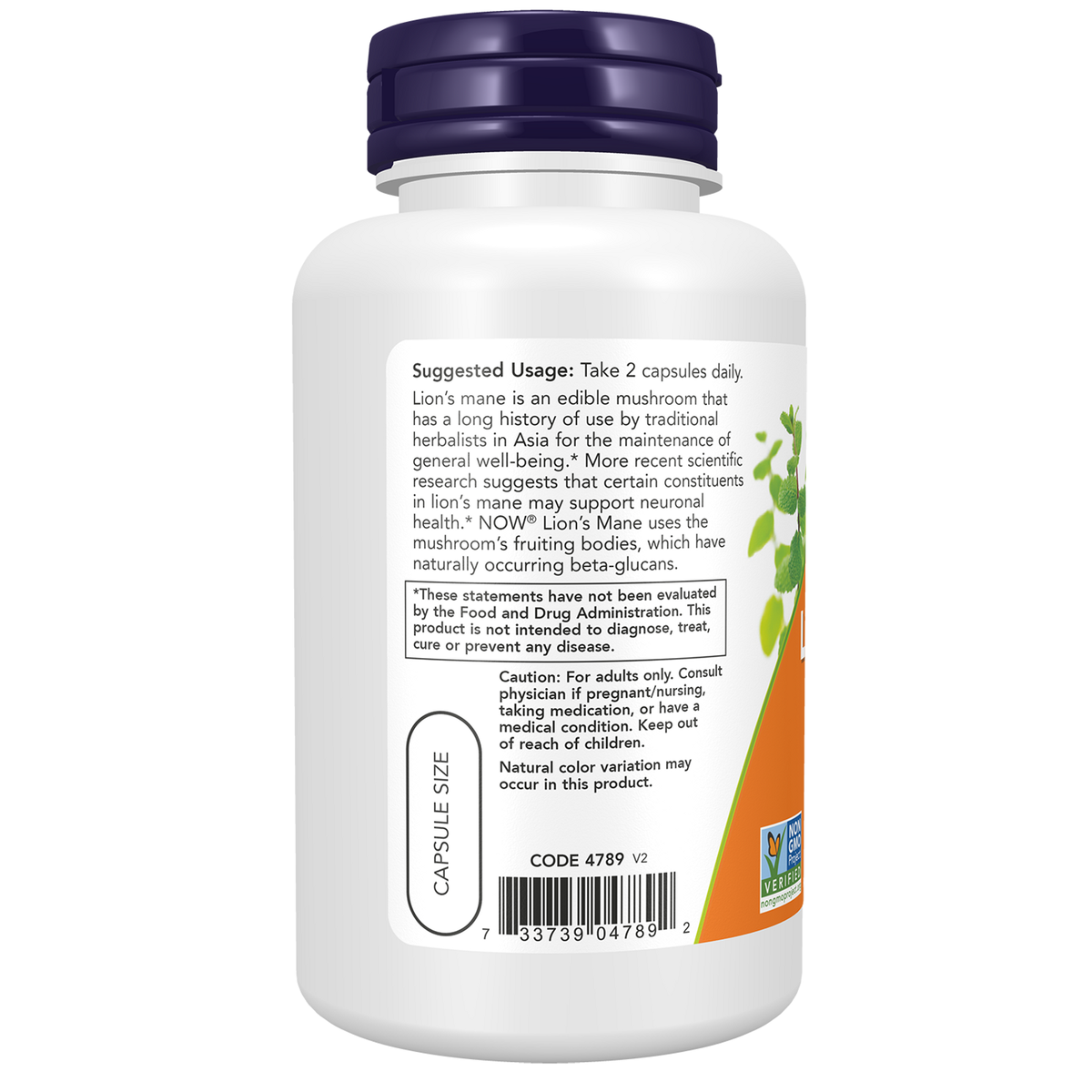 Now Foods Lion's Mane 500 mg - vue de gauche