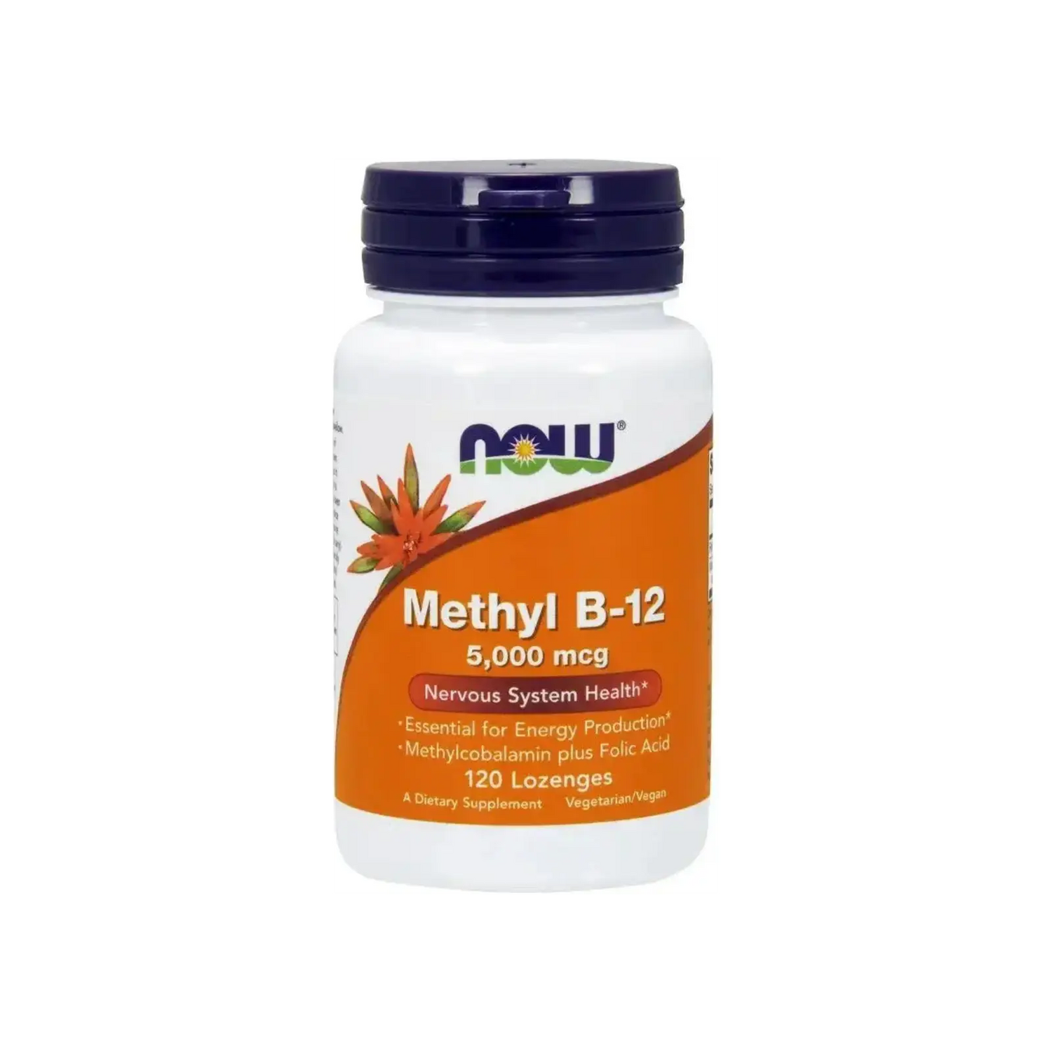 Now Foods Methyl B-12 5000 mcg, vitamine B12 bioactive méthylée