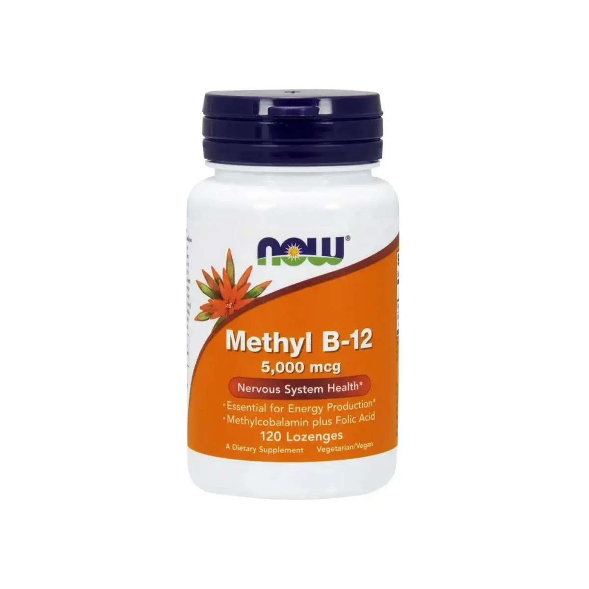 Now Foods Methyl B-12 5000 mcg, vitamine B12 bioactive méthylée