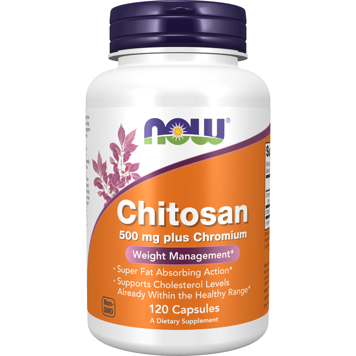 Now Foods Chitosane 500 mg et Chrome