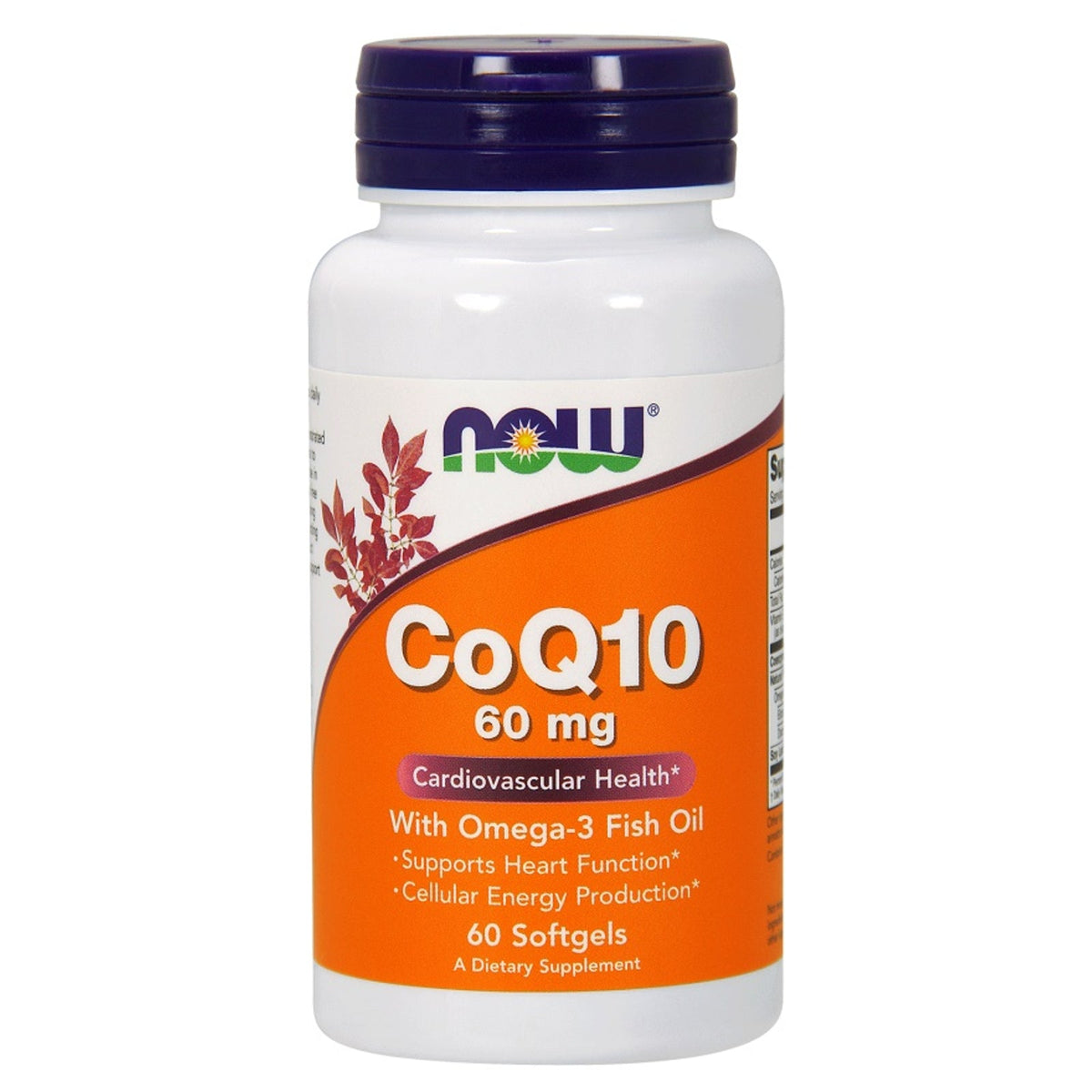 Now Foods CoQ10 60 mg avec huile de poisson, flacon de 60 capsules